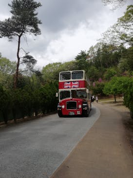 野外民族博物館 リトルワールドに投稿された画像（2025/4/20）