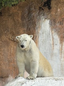 天王寺動物園に投稿された画像（2025/4/20）