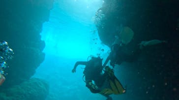 武藤潜水に投稿された画像（2025/4/20）