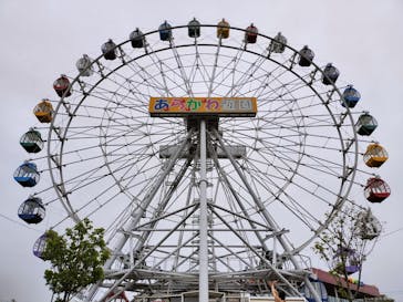 あらかわ遊園に投稿された画像（2025/4/20）