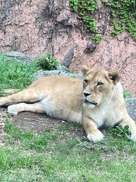 名古屋市東山動植物園に投稿された画像（2025/4/20）