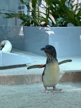 AOAO SAPPOROに投稿された画像（2025/4/20）