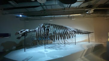 AOAO SAPPOROに投稿された画像（2025/4/20）