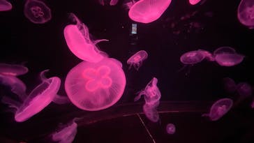 AOAO SAPPOROに投稿された画像（2025/4/20）