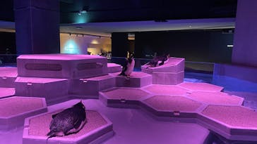 AOAO SAPPOROに投稿された画像（2025/4/20）