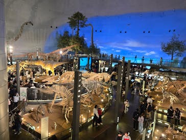 福井県立恐竜博物館に投稿された画像（2025/4/20）
