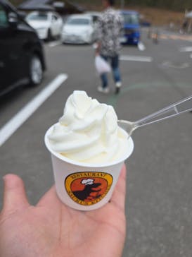 福井県立恐竜博物館に投稿された画像（2025/4/20）