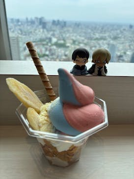 サンシャイン60展望台に投稿された画像（2025/4/20）