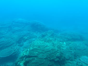 串本海中公園水族館に投稿された画像（2025/4/20）