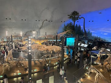 福井県立恐竜博物館に投稿された画像（2025/4/20）