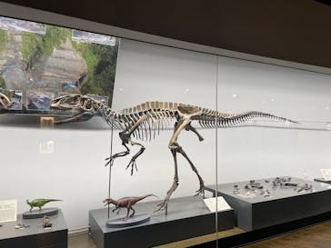 福井県立恐竜博物館に投稿された画像（2025/4/20）