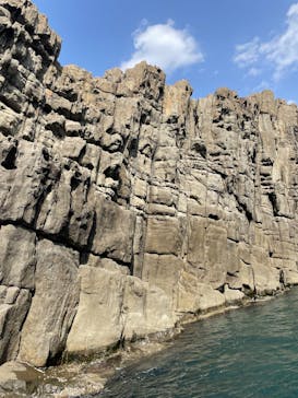 東尋坊観光遊覧船株式会社に投稿された画像（2025/4/20）