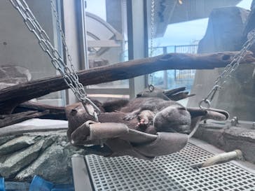 AQUARIUM × ART　atoaに投稿された画像（2025/4/20）