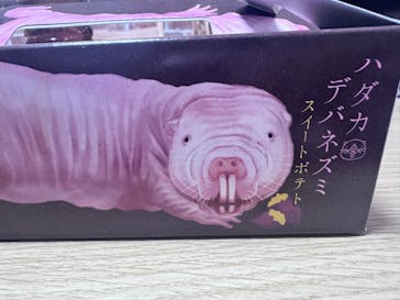 AQUARIUM × ART　atoaに投稿された画像（2025/4/20）