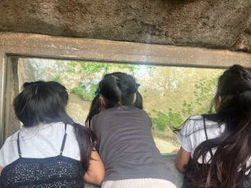 天王寺動物園に投稿された画像（2025/4/20）