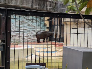 恩賜上野動物園に投稿された画像（2025/4/20）