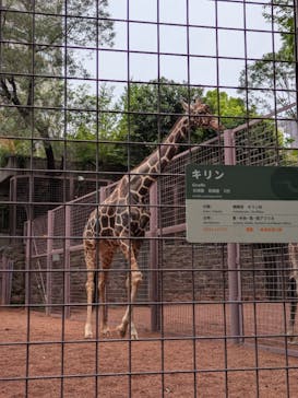 恩賜上野動物園に投稿された画像（2025/4/20）