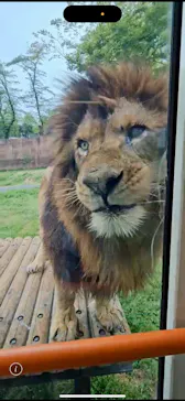 多摩動物公園に投稿された画像（2025/4/20）