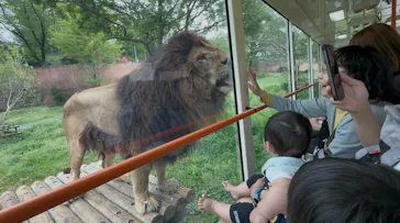 多摩動物公園に投稿された画像（2025/4/20）