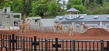 多摩動物公園に投稿された画像（2025/4/20）