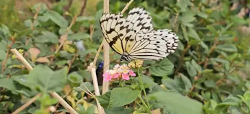 多摩動物公園に投稿された画像（2025/4/20）