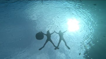 沖縄マリンサービス碧に投稿された画像（2025/4/20）