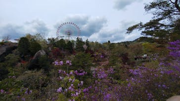 恵那峡ワンダーランドに投稿された画像（2025/4/20）