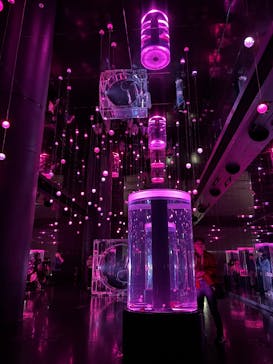 マクセル アクアパーク品川に投稿された画像（2025/4/20）