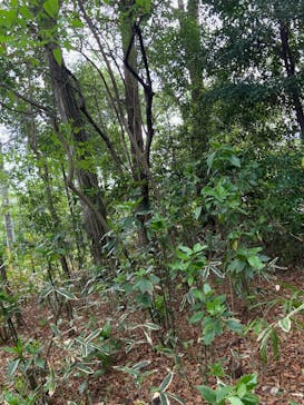 井の頭自然文化園に投稿された画像（2025/4/20）