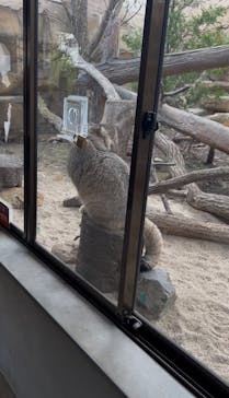 那須どうぶつ王国に投稿された画像（2025/4/20）