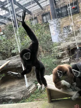 多摩動物公園に投稿された画像（2025/4/20）