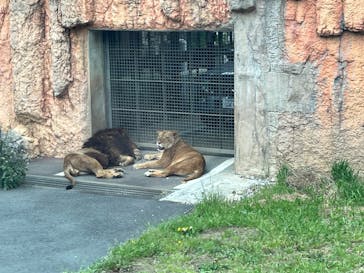 東京動物園協会_多摩動物公園に投稿された画像（2025/4/20）