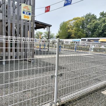 万博記念公園に投稿された画像（2025/4/20）