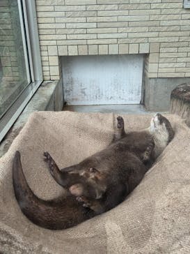 下田海中水族館に投稿された画像（2025/4/20）