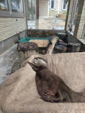 下田海中水族館に投稿された画像（2025/4/20）