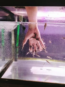 サケのふるさと 千歳水族館に投稿された画像（2025/4/20）