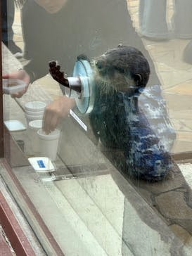 横浜・八景島シーパラダイスに投稿された画像（2025/4/20）