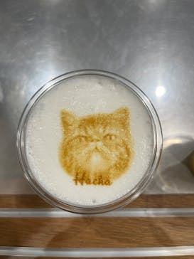 Cat Café MOFF イーアス沖縄豊崎店に投稿された画像（2025/4/20）
