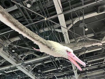 特別展「鳥～ゲノム解析が解き明かす新しい鳥類の系統～」に投稿された画像（2025/4/20）