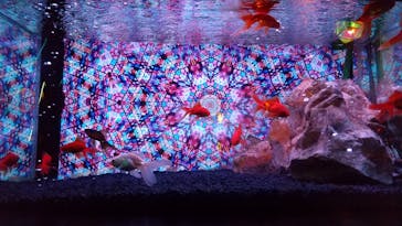 NARA IKIMONO MUSEUMに投稿された画像（2025/4/20）