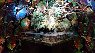 NARA IKIMONO MUSEUMに投稿された画像（2025/4/20）