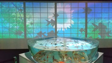 NARA IKIMONO MUSEUMに投稿された画像（2025/4/20）