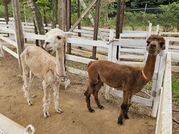 千葉市動物公園に投稿された画像（2025/4/20）