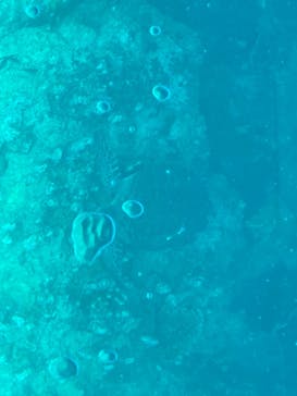 まりんはうすぐるくんに投稿された画像（2025/4/20）