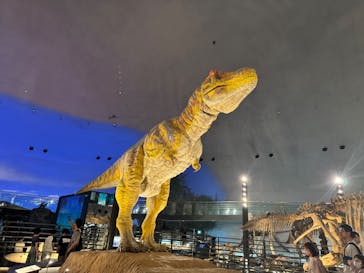 福井県立恐竜博物館に投稿された画像（2025/4/20）