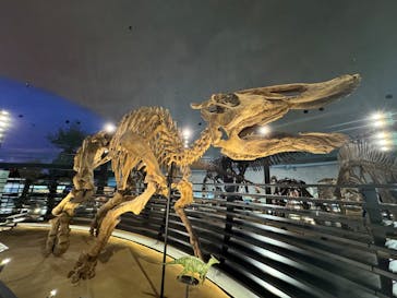 福井県立恐竜博物館に投稿された画像（2025/4/20）