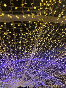 東京メガイルミに投稿された画像（2025/4/20）