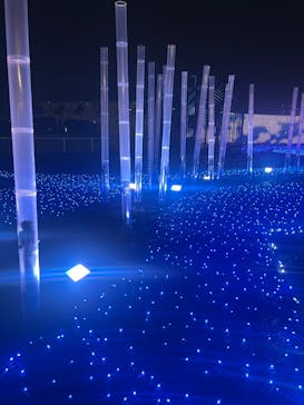 東京メガイルミに投稿された画像（2025/4/20）