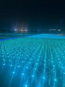 東京メガイルミに投稿された画像（2025/4/20）