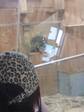 名古屋市東山動植物園に投稿された画像（2025/4/20）